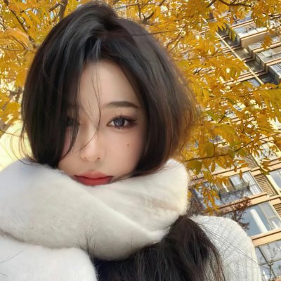 狐狸猎手队
